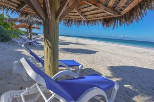THATCHED UMBRELLAS